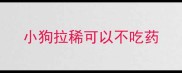 小狗拉稀可以不吃药