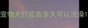 宠物犬打疫苗多久可以洗澡