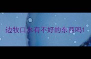边牧口水有不好的东西吗