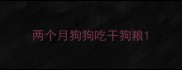 两个月狗狗吃干狗粮