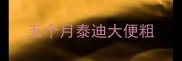 五个月泰迪大便粗