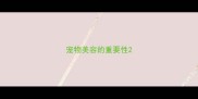 宠物美容的重要性