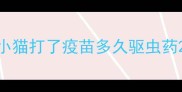 小猫打了疫苗多久驱虫药
