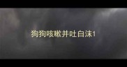 狗狗咳嗽并吐白沫