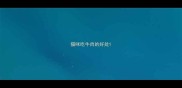 猫咪吃牛肉的好处
