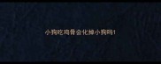 小狗吃鸡骨会化掉小狗吗