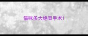 猫咪多大绝育手术