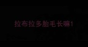 拉布拉多胎毛长嘛