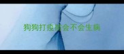 狗狗打疫苗会不会生病