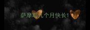 萨摩耶几个月快长
