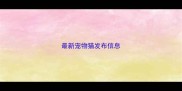 最新宠物猫发布信息