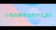 小狗拉稀带血吃什么药