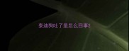 泰迪狗吐了是怎么回事