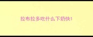 拉布拉多吃什么下奶快