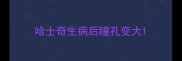 哈士奇生病后瞳孔变大