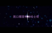 周口哪里有卖哈士奇