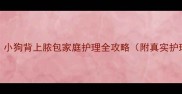 5步解决小狗背上脓包家庭护理全攻略附真实护理案例