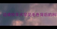 陨石边牧全白奇观边境牧羊犬罕见毛色背后的科学真相与饲养指南