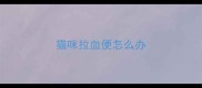 猫咪拉血便怎么办
