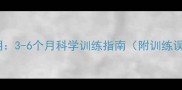 泰迪犬幼犬训练黄金期3-6个月科学训练指南附训练误区与行为矫正方案