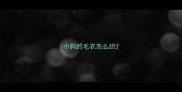 小狗的毛衣怎么织