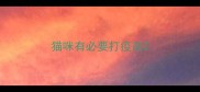 猫咪有必要打疫苗