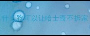 什么狗可以让哈士奇不拆家