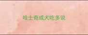 哈士奇成犬吃多说