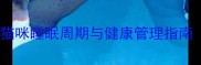 猫咪深度睡眠时间表科学猫咪睡眠周期与健康管理指南附改善睡眠的实用技巧