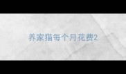 养家猫每个月花费