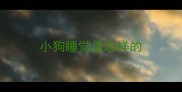 小狗睡觉是怎样的