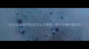 拉布拉多幼犬肚皮没毛正常吗新手必看护理指南