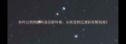 如何让狗狗顺利适应新环境从挑选到过渡的完整指南