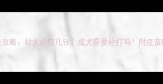 哈士奇疫苗接种全攻略幼犬必打几针成犬需要补打吗附疫苗时间表与避坑指南