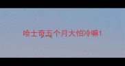哈士奇五个月大怕冷嘛
