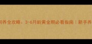 萨摩耶幼犬饲养全攻略3-6月龄黄金期必看指南新手养宠避坑清单