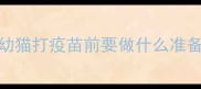 幼猫打疫苗前要做什么准备