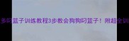 拉布拉多叼篮子训练教程3步教会狗狗叼篮子附超全训练指南