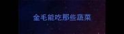 金毛能吃那些蔬菜