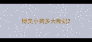 博美小狗多大断奶