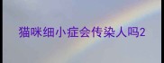 猫咪细小症会传染人吗