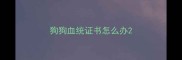 狗狗血统证书怎么办
