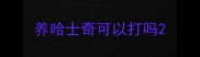 养哈士奇可以打吗
