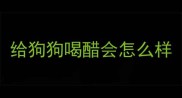 给狗狗喝醋会怎么样