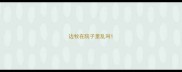 边牧在院子里乱叫