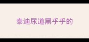 泰迪尿道黑乎乎的