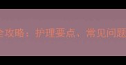 泰迪剃毛后一个月全攻略护理要点常见问题及美毛技巧大公开