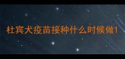 杜宾犬疫苗接种什么时候做