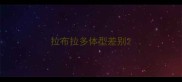 拉布拉多体型差别