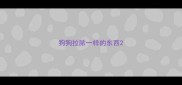 狗狗拉脓一样的东西